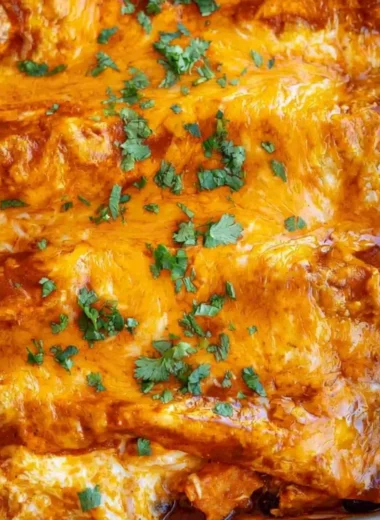 Cozy vegetarian enchiladas topped with fresh ingredients and cheese
